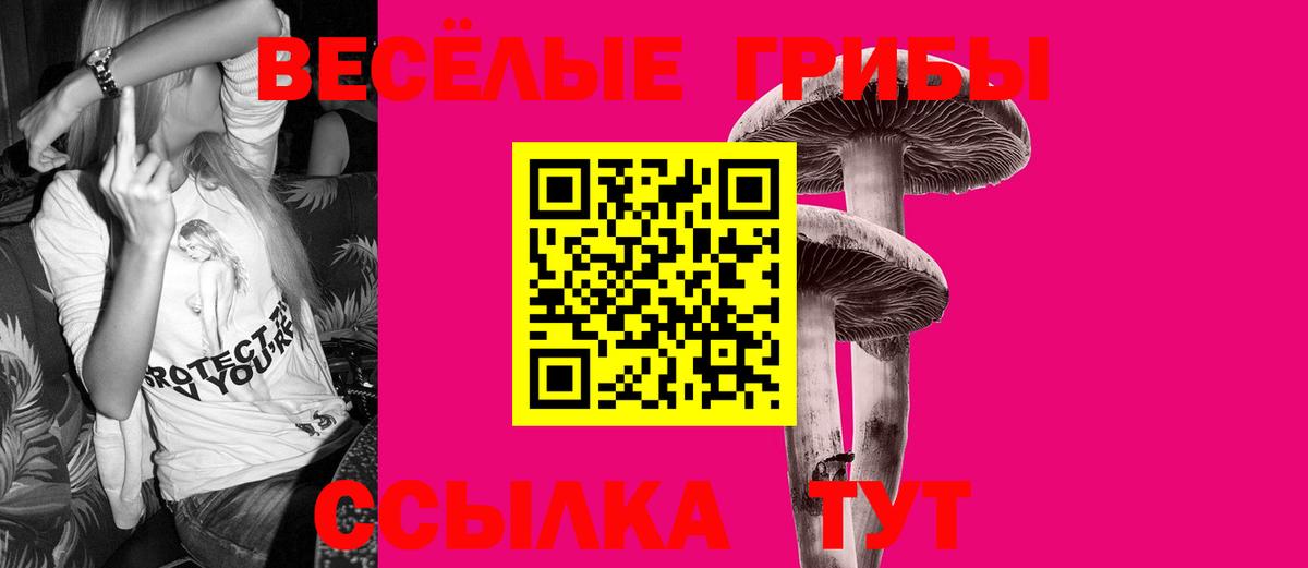 Псилоцибиновые грибы Psilocybine cubensis  Вход с VPN  Кохма 
